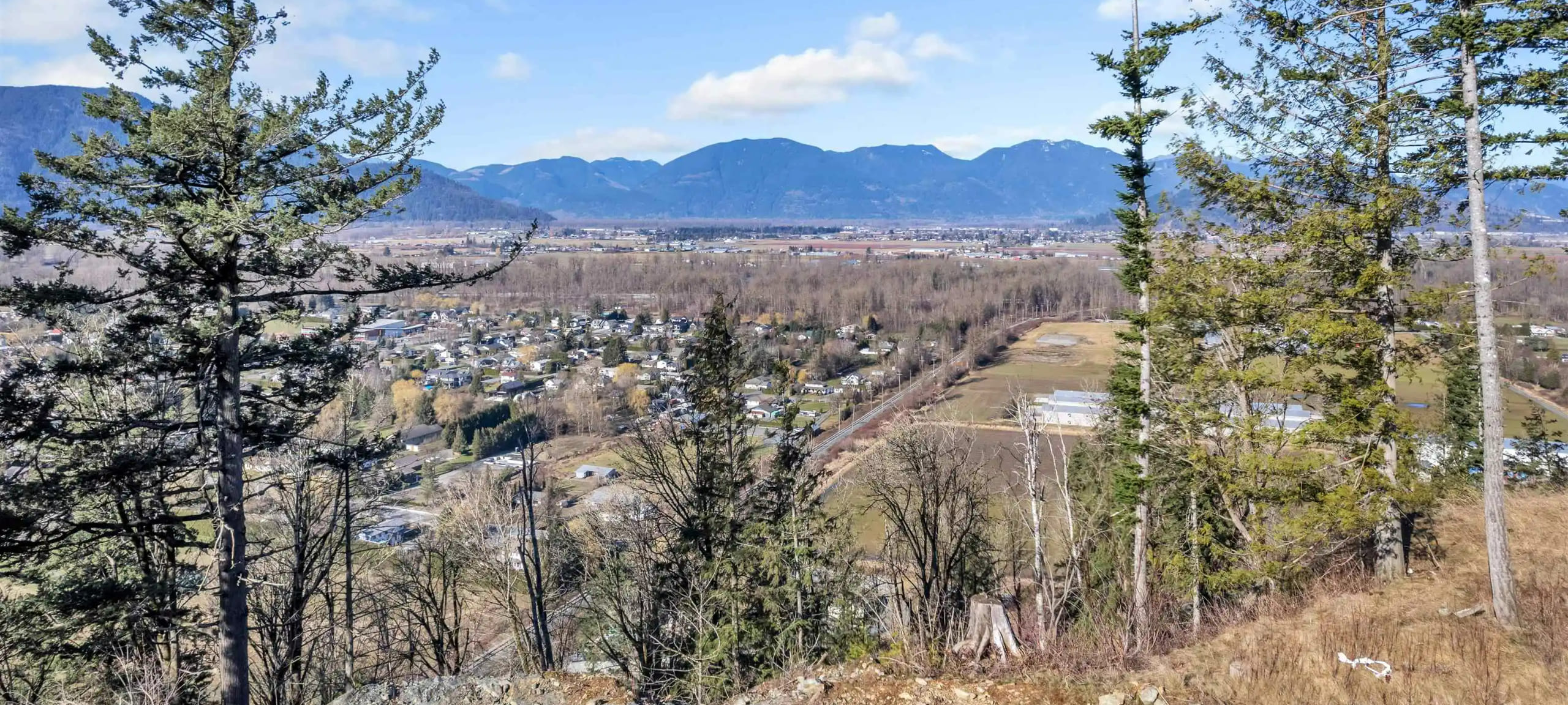 Vedder Mountain Homes & Condos - MLS Listings For Sale